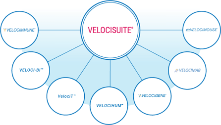Regeneron's technologies within VelociSuite®